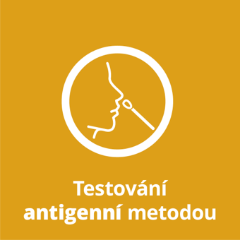 Testování antigenní metodou